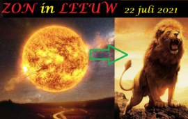 Zon in Leeuw - 22 juli 2021