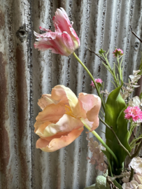 Franse tulp luchtig pluk