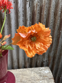 Orange pluk