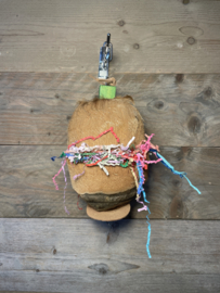 Coconut treatholder