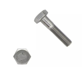 RVS zeskant bout M8 x 30 MM
