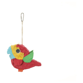 Parrot Pinata