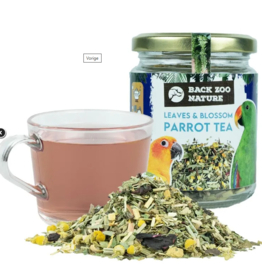 Parrot leaves and blossom tea