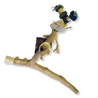 Toy branch XL