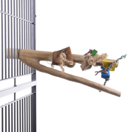 Toy branch M