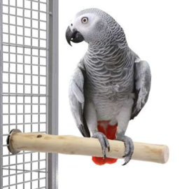 Java climbing bar L