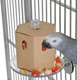 Creative Foraging Systems Buffet Box