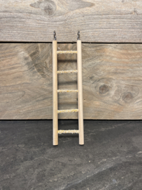 Ladder met nagelstok functie "cement ladder"