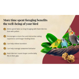 Lafeber Nutri-Berries Senior - Cockatiel 284 gram