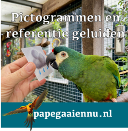 Pictogrammen en referentie geluiden Zondag 15 juni 2025