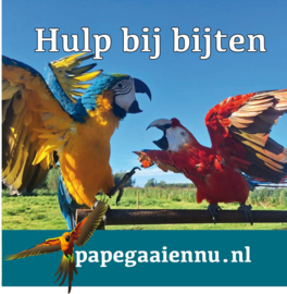 Hulp bij bijten Zaterdag 5 juli 2025