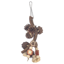 Pinecone Harvest