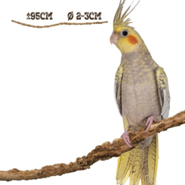 Corky Liana 90-100 cm