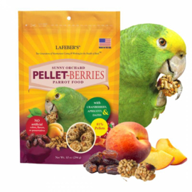 Pellet berries sunny orchard Parrot