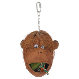 Coco Monkey