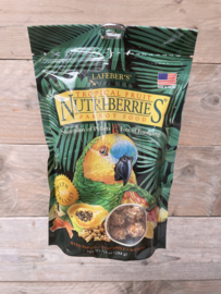 Nutri-berrie Tropical Fruit Parrots