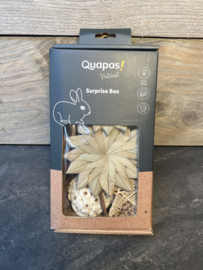 Quapas surprise box
