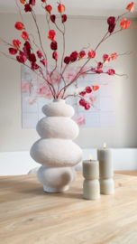 Physalis tak | Donker rood