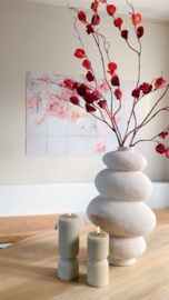 Physalis tak | Donker rood