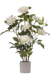 Kunst Dahlia in pot | wit