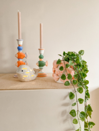 Philo plant in pot