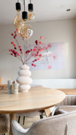 Physalis tak | Donker rood
