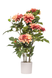 Kunst Dahlia in pot | Oud roze