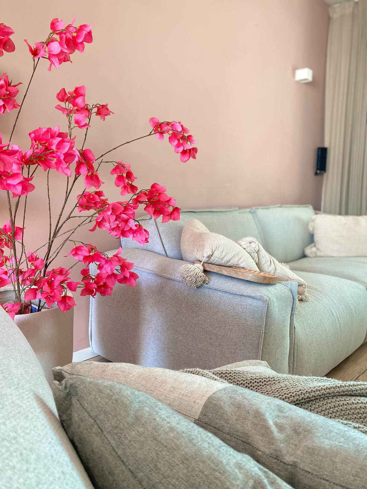 Bougainvillea tak roze