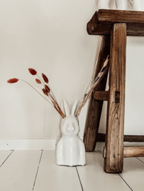Vaas Bunny | wit