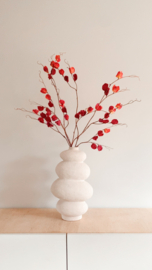 Physalis tak | Donker rood