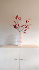 Physalis tak | Donker rood