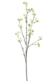 Bittersweet berry groen wit 66 cm