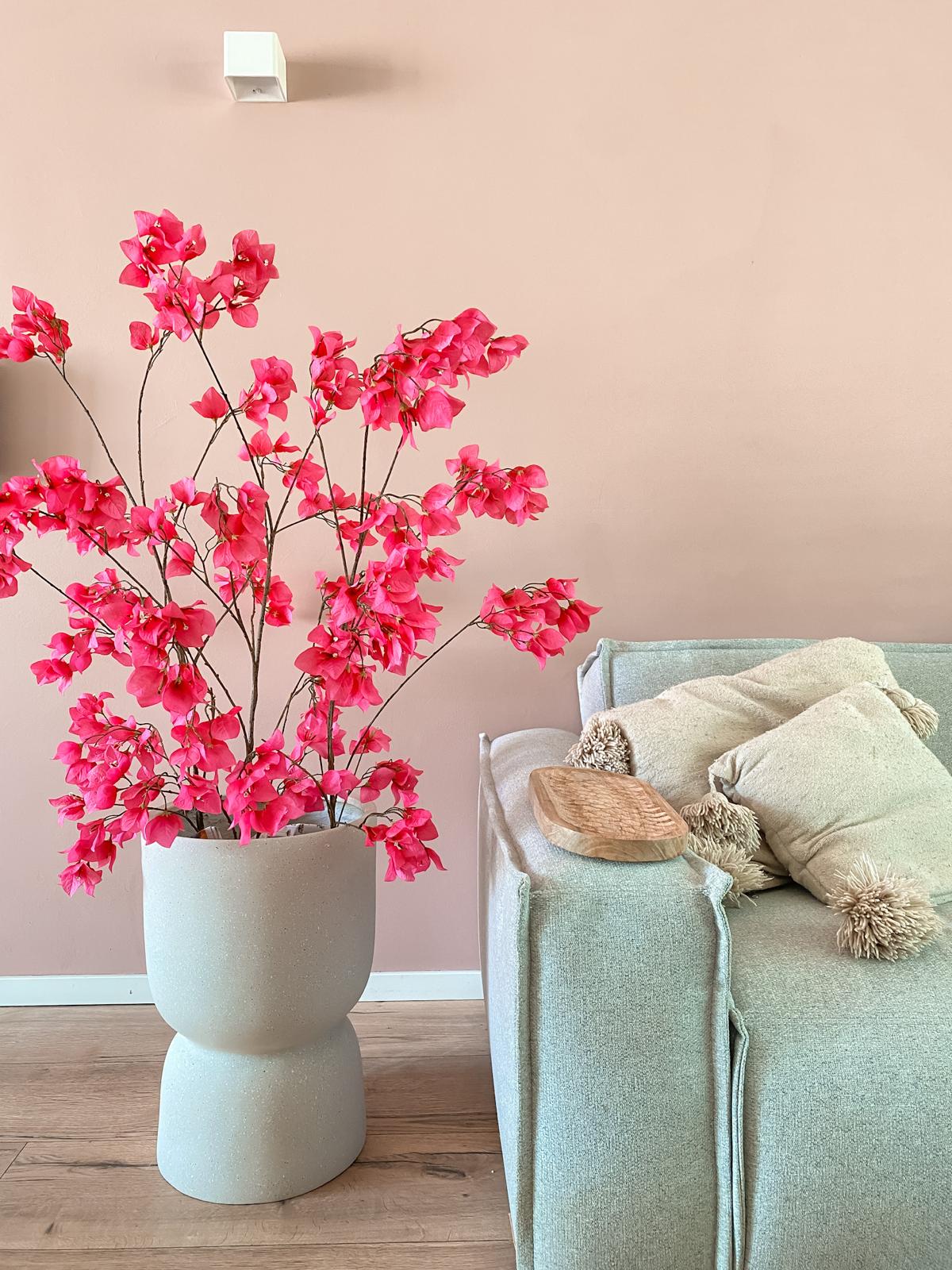 Bougainvillea tak roze