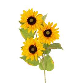 Zonnebloem x3 98 cm