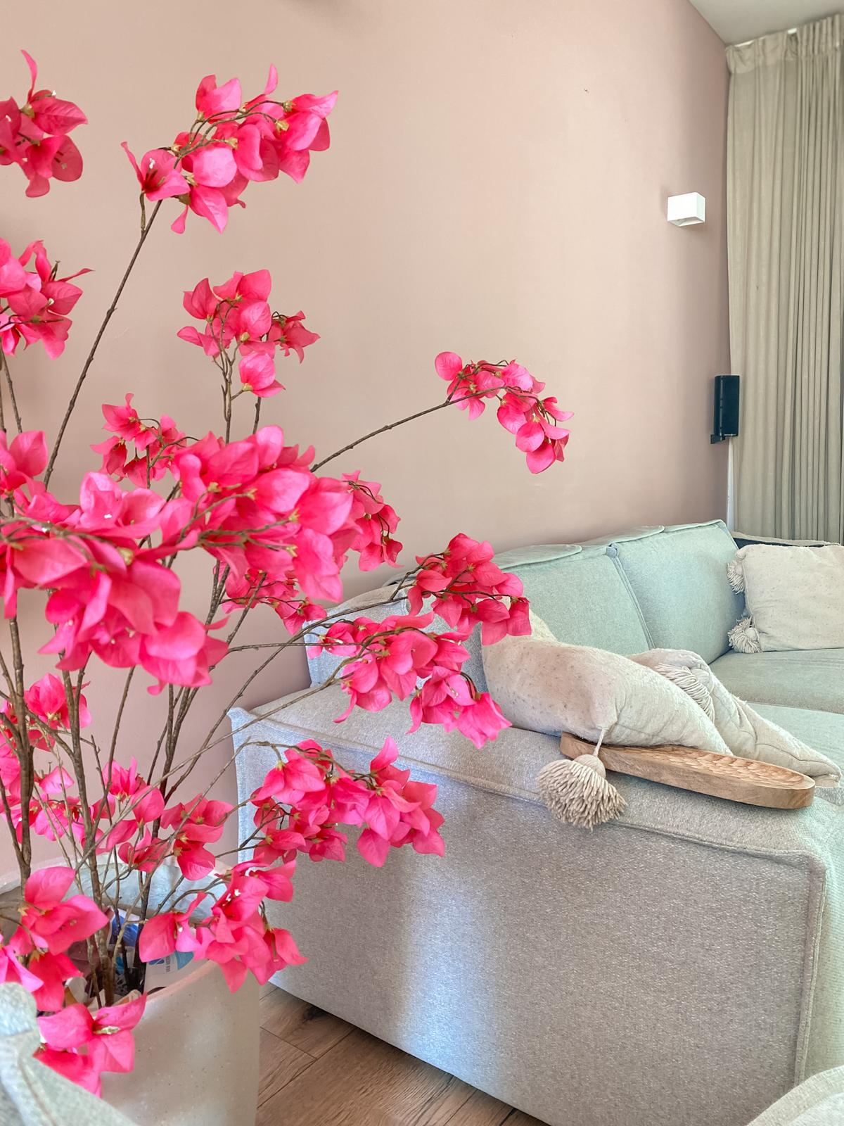 Bougainvillea tak roze