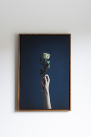 The Courage of a Flower III