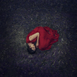 Fallen