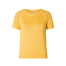 Shirt/Truitje Wensley Summer Gold van Ivy Beau