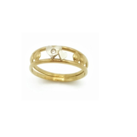 Ring in bicolor goud met diamant