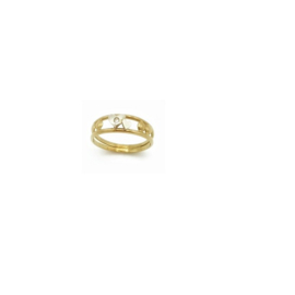 Ring in bicolor goud met diamant