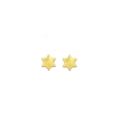 Gouden oorbellen ster