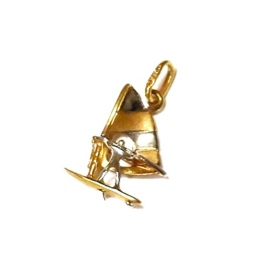 Hanger windsurfer in bicolor goud