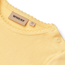 Wheat Rib Body S/S Lace Elisa
