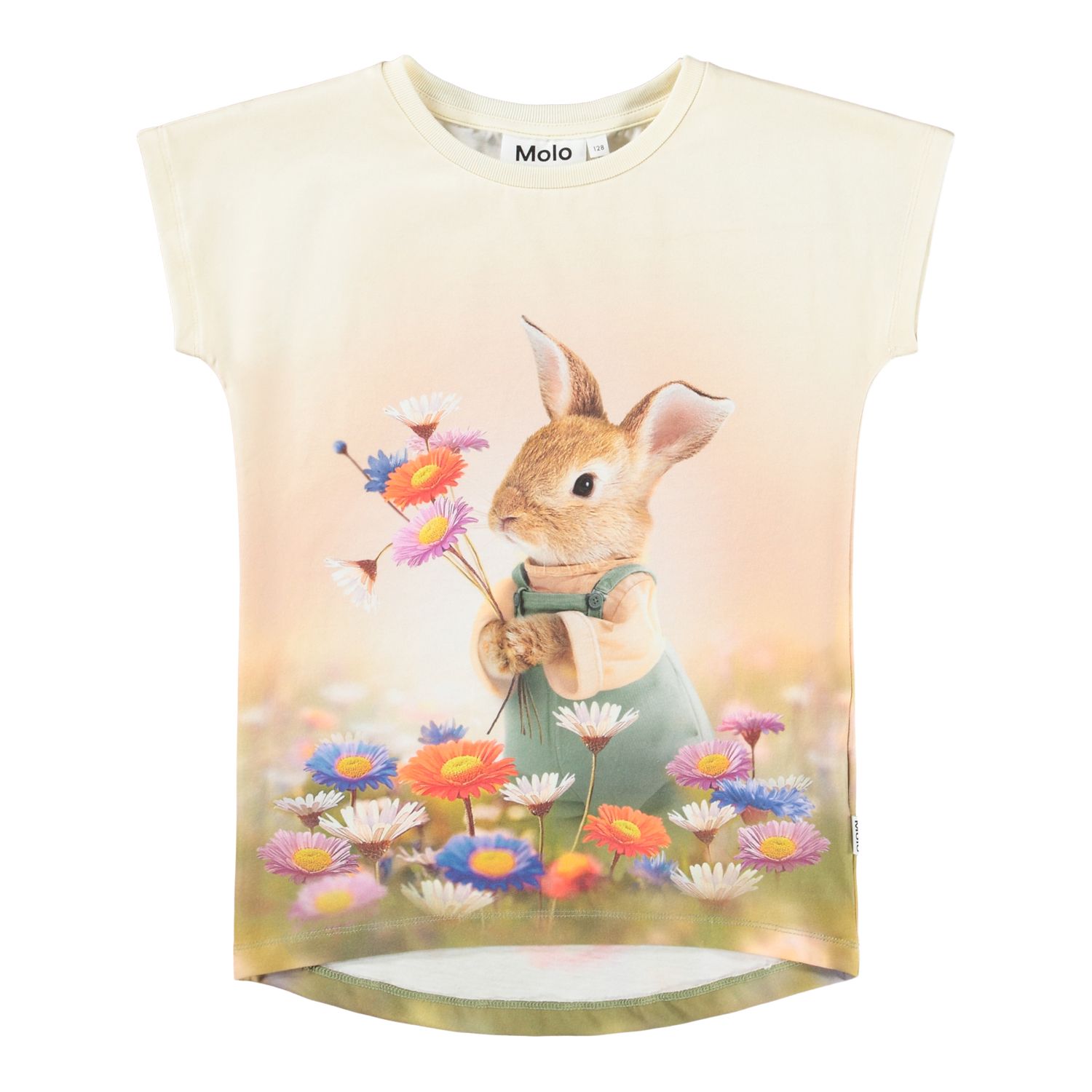 Tops, T-shirts, Longsleeves