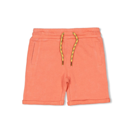 Sturdy  Short - Desert Fiesta