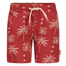 Sturdy Short AOP - Happy Rio
