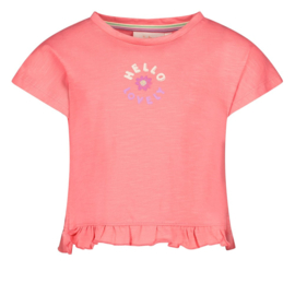 Jubel T-shirt - Picknick Perfect