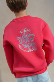 Flo  Dailey Flo boys sweater