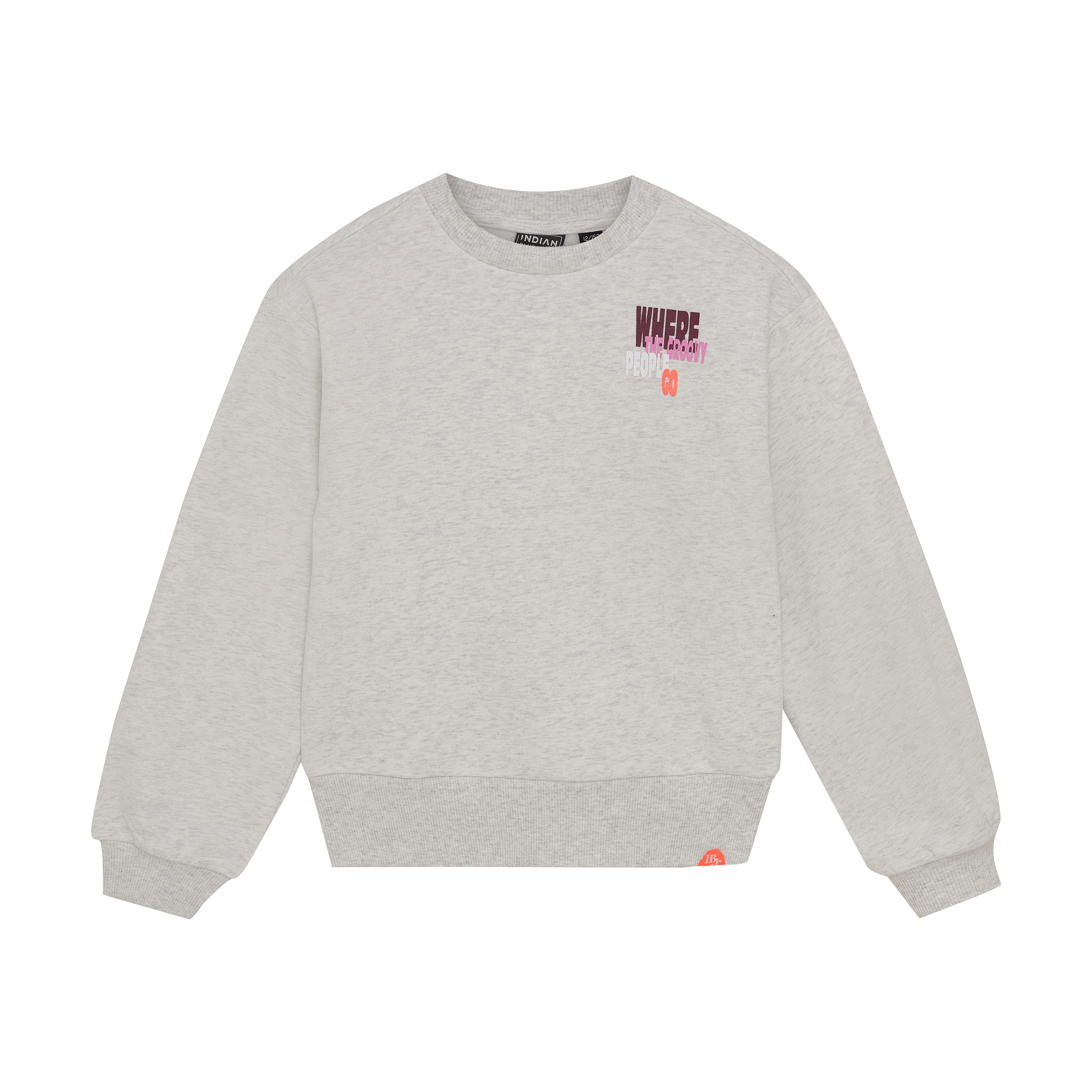 Indian Blue Jeans Sweater Melange
