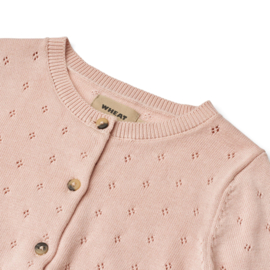 Wheat Knit Cardigan Maia